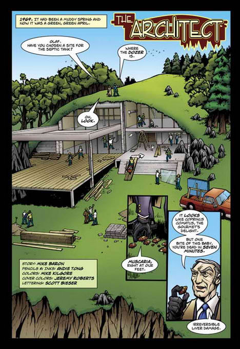 The Architect Comic