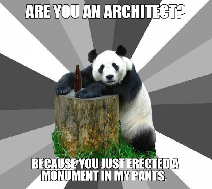 are you an architect because you just erected a monument in my pants