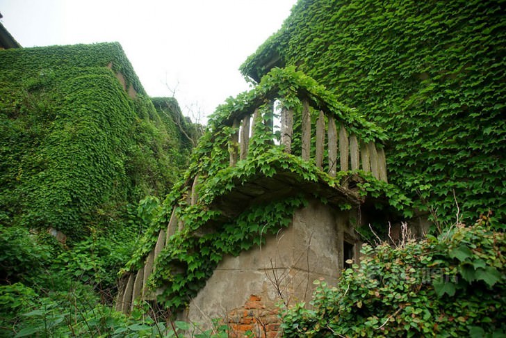Abandoned Chinese Village On Goqui Island Swallowed By Mother Nature