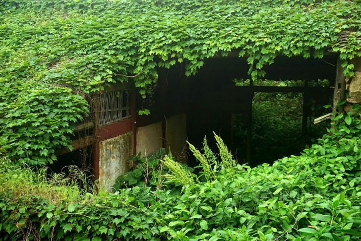 Abandoned Chinese Village On Goqui Island Swallowed By Mother Nature