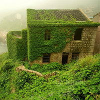 Abandoned Chinese Village On Goqui Island Swallowed By Mother Nature